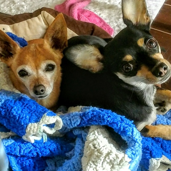 Meet your Posher, Marcy - Picture 1 of 16